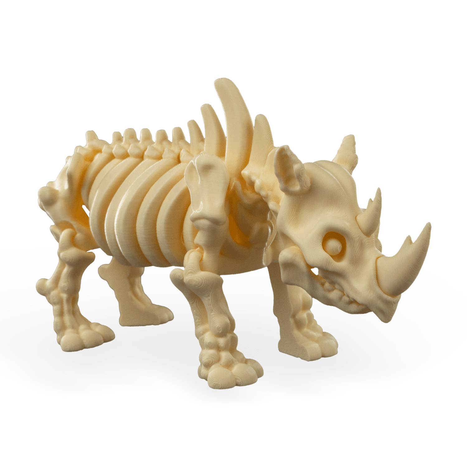 Skeleton Rhino