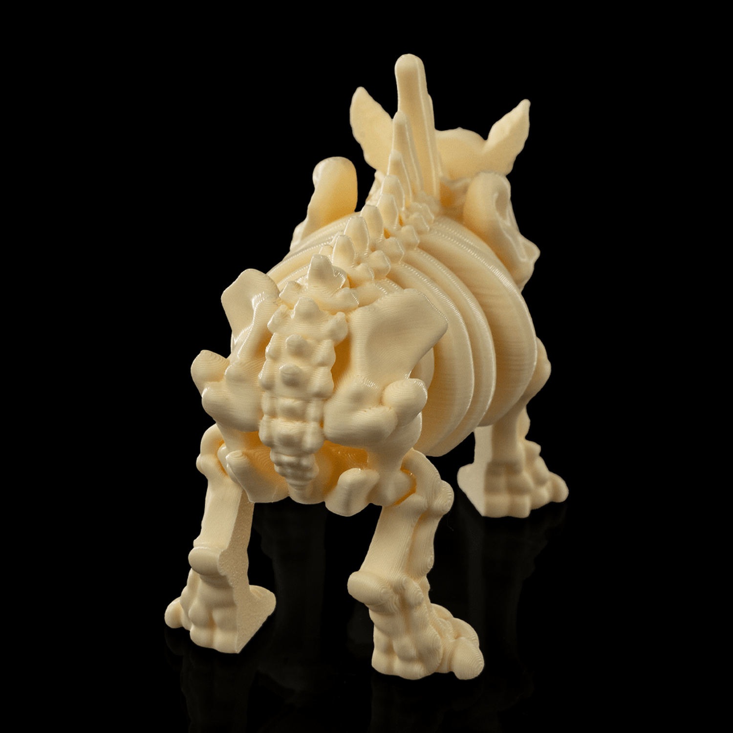 Skeleton Rhino
