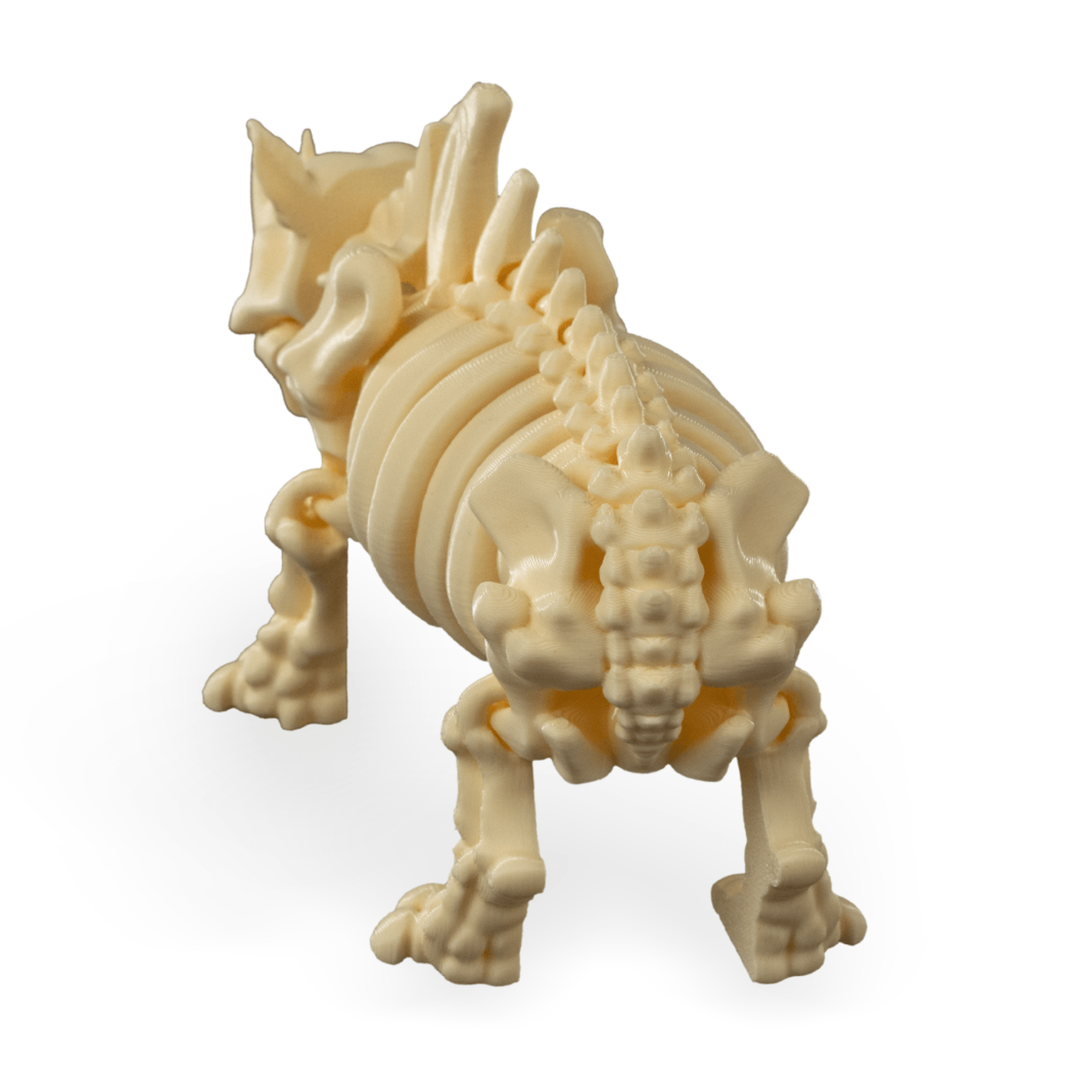 Skeleton Rhino