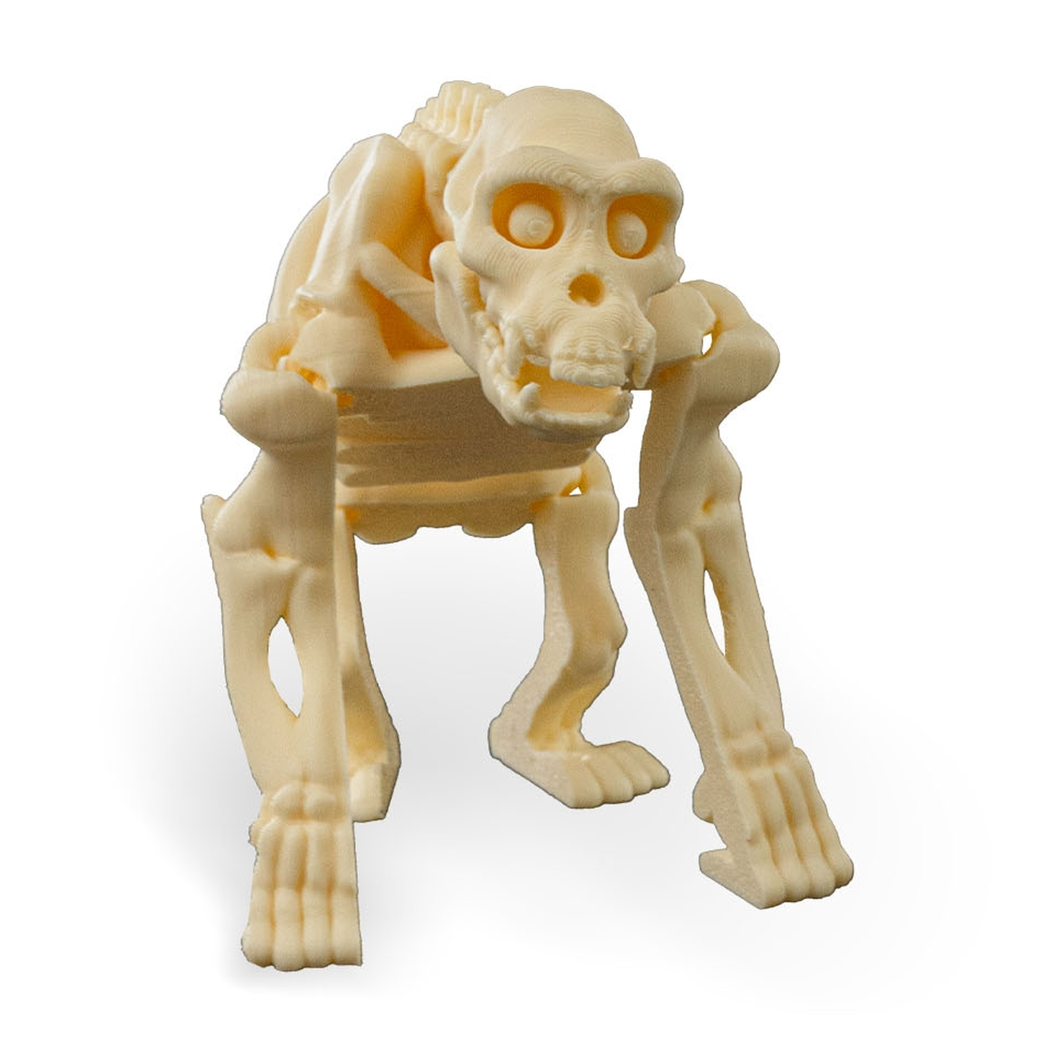 Skeleton Chimp