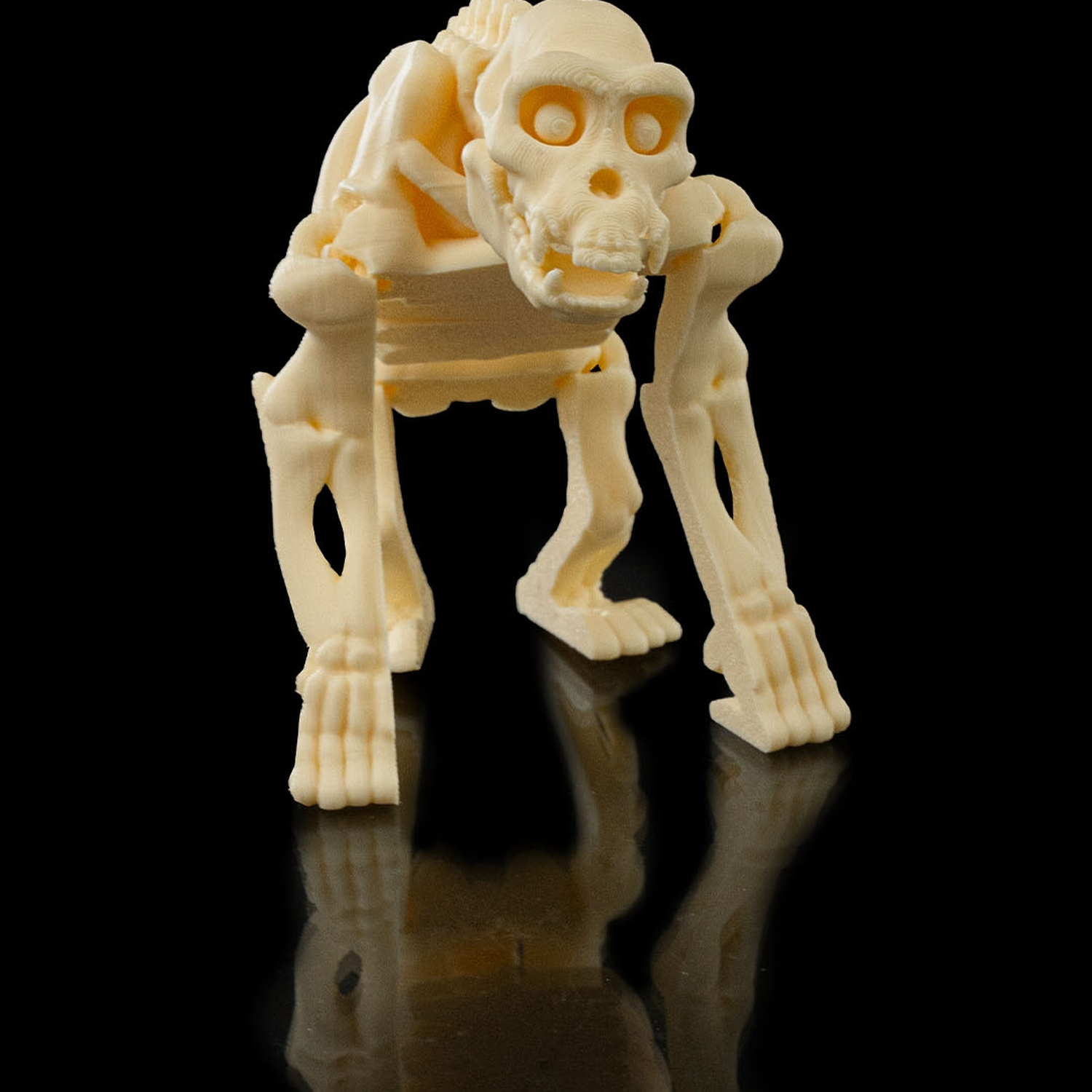 Skeleton Chimp