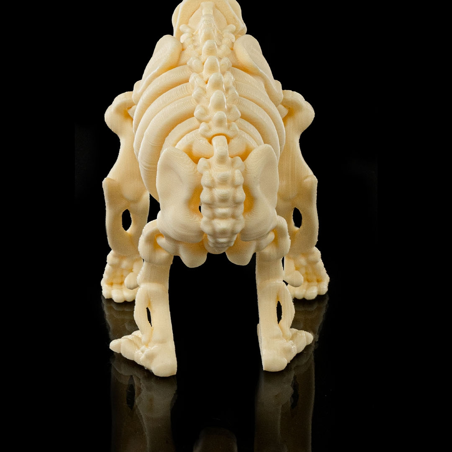 Skeleton Chimp