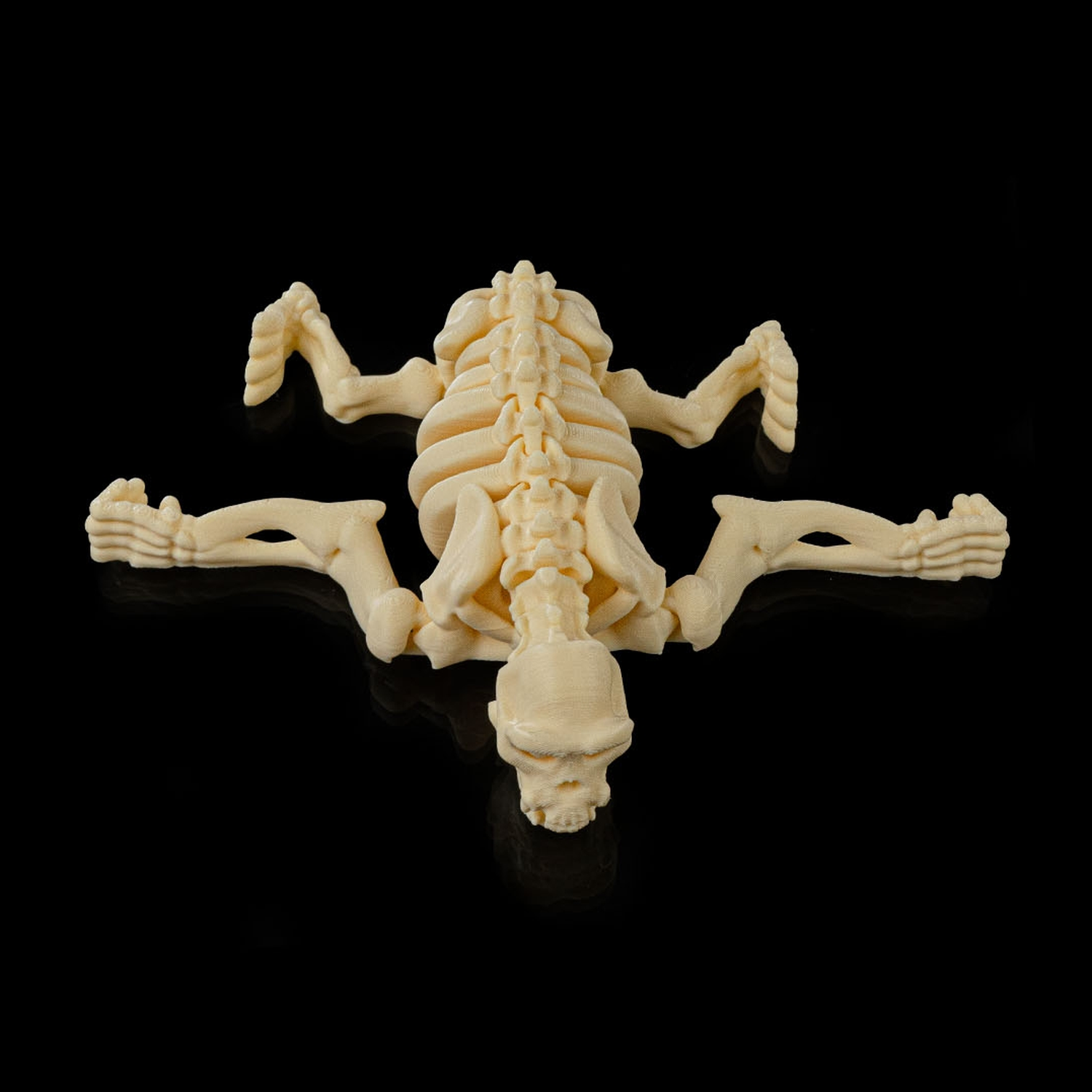 Skeleton Chimp