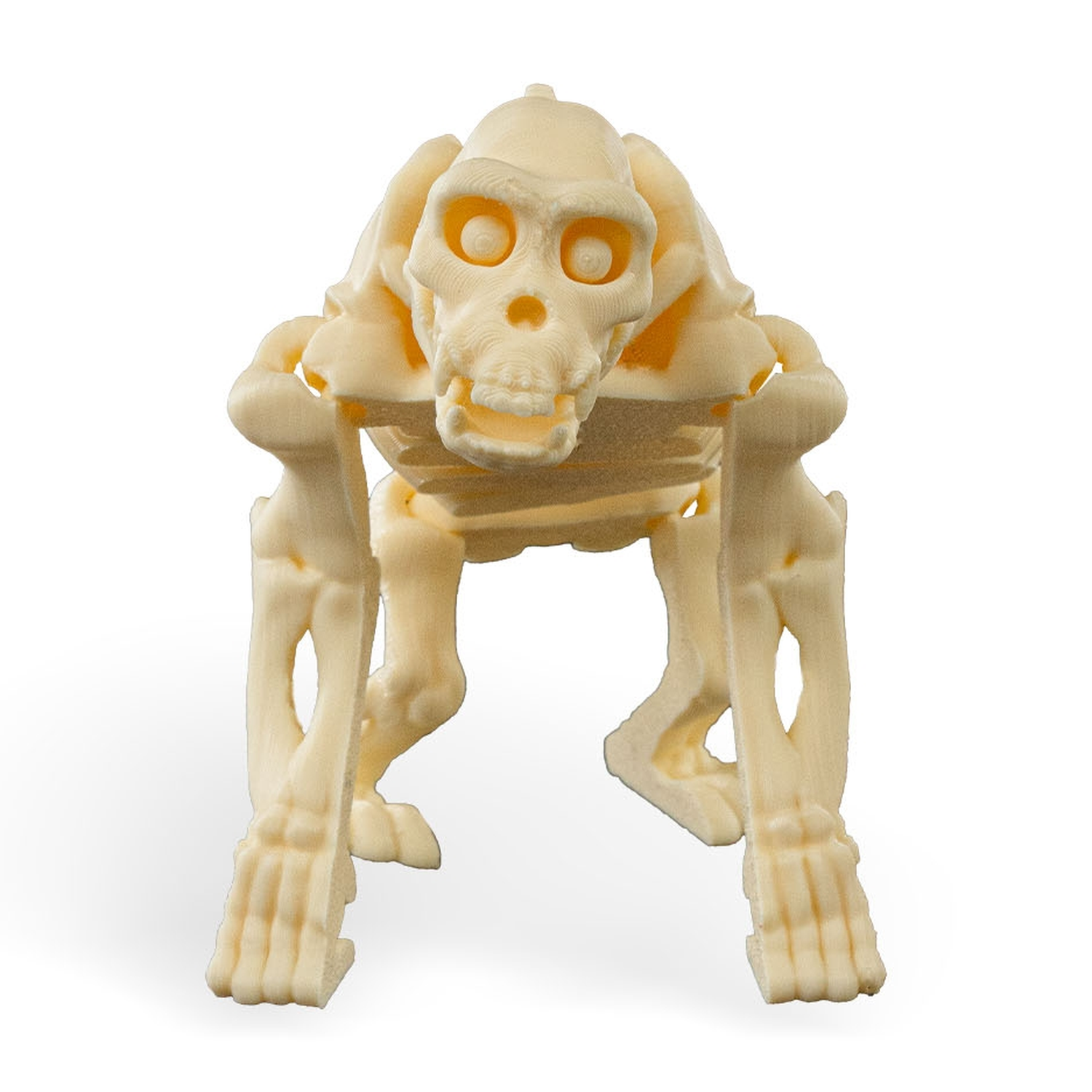 Skeleton Chimp