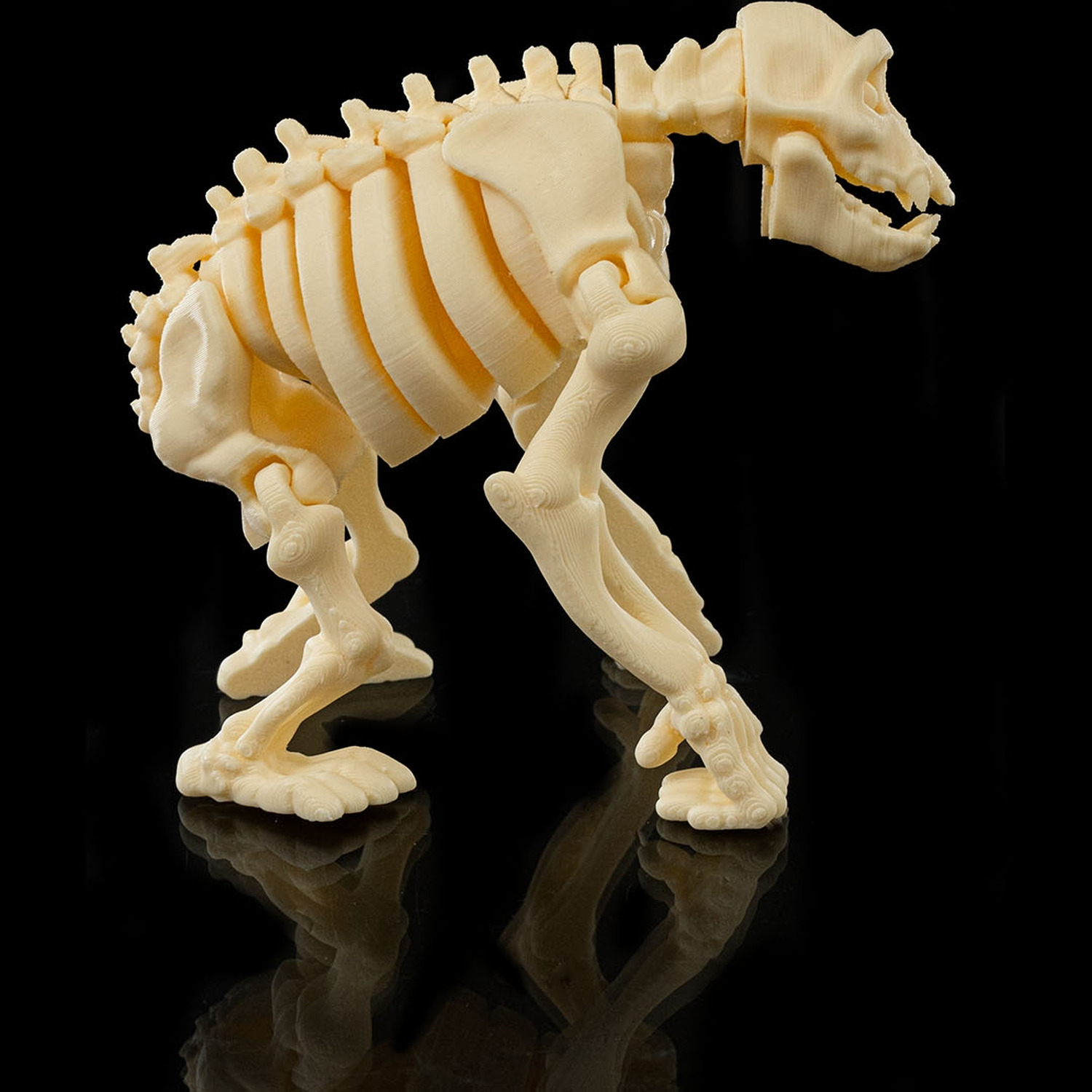 Skeleton Chimp