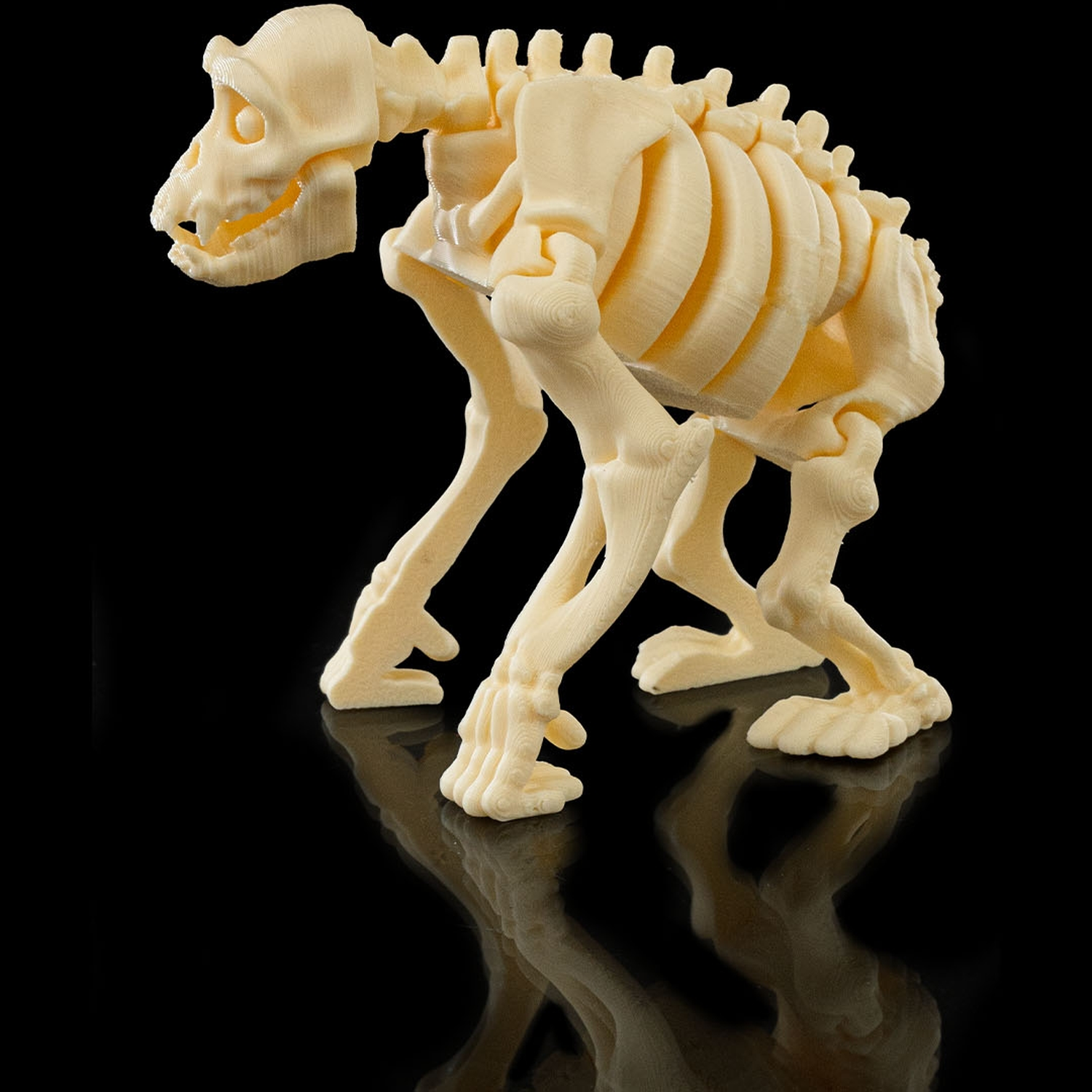 Skeleton Chimp