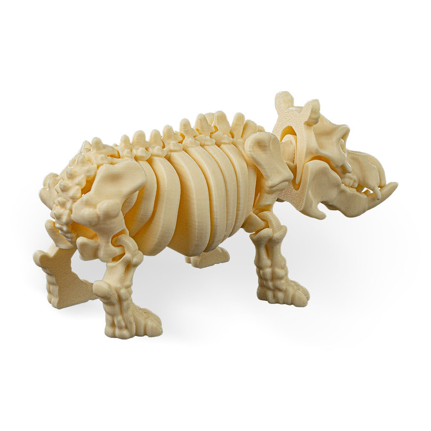 Skeleton Hippo