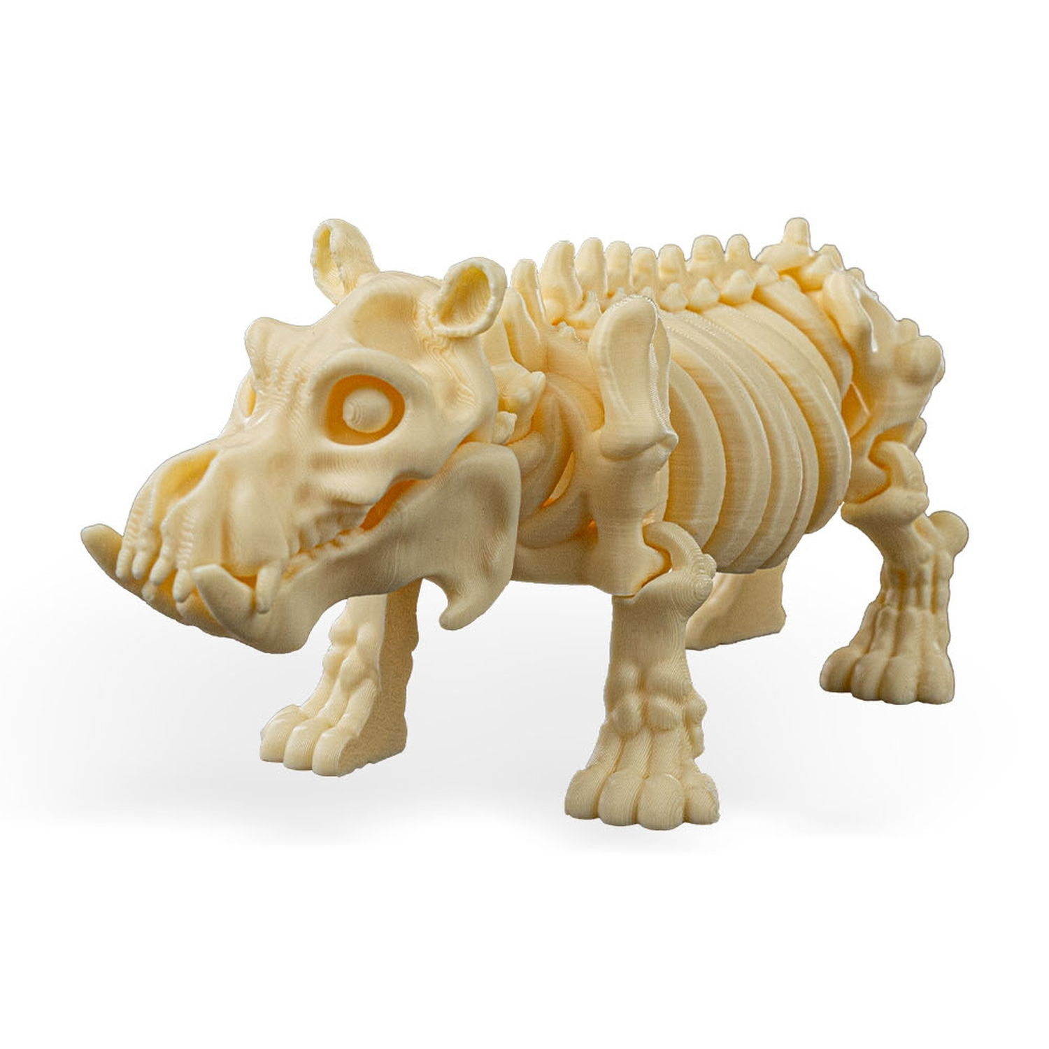 Skeleton Hippo