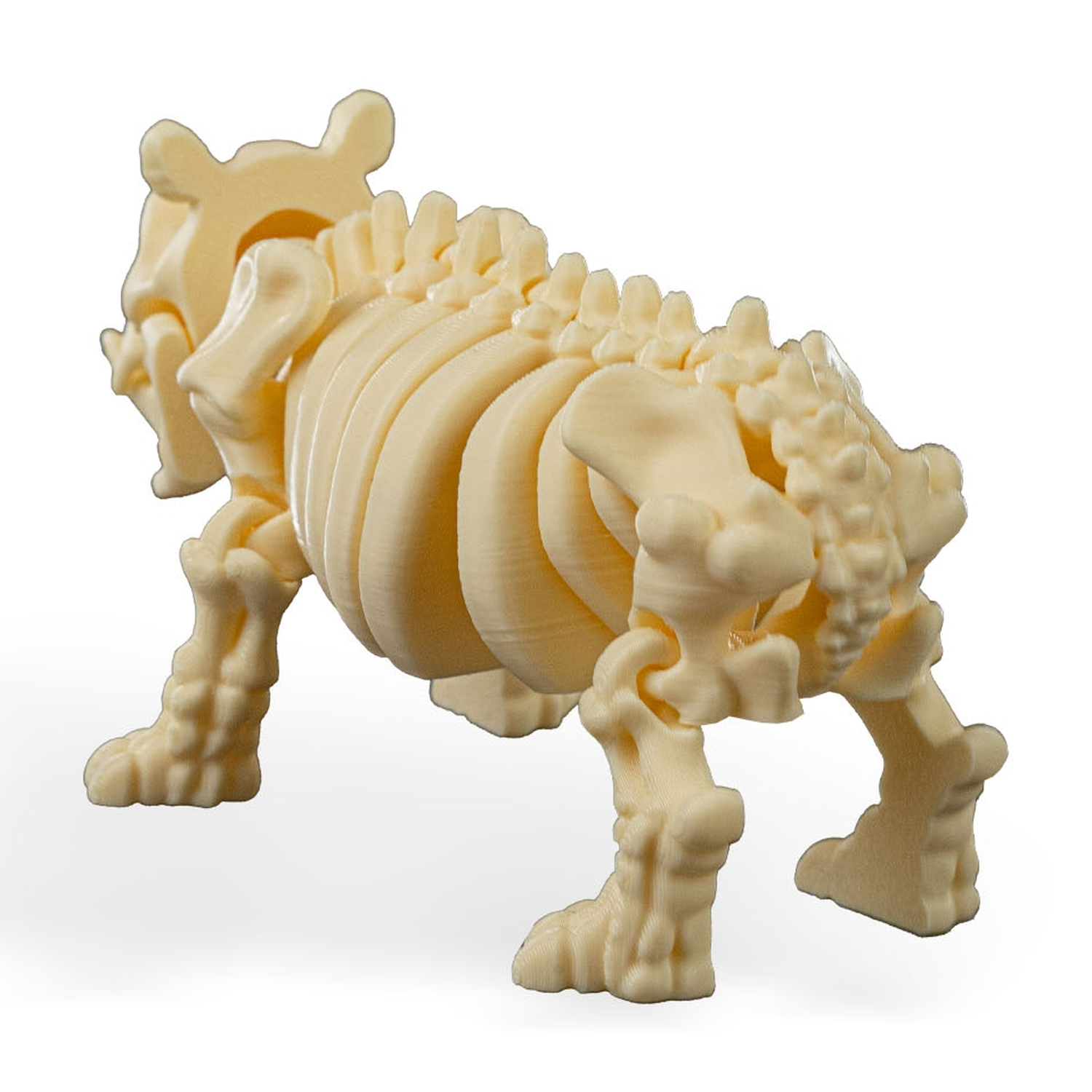 Skeleton Hippo