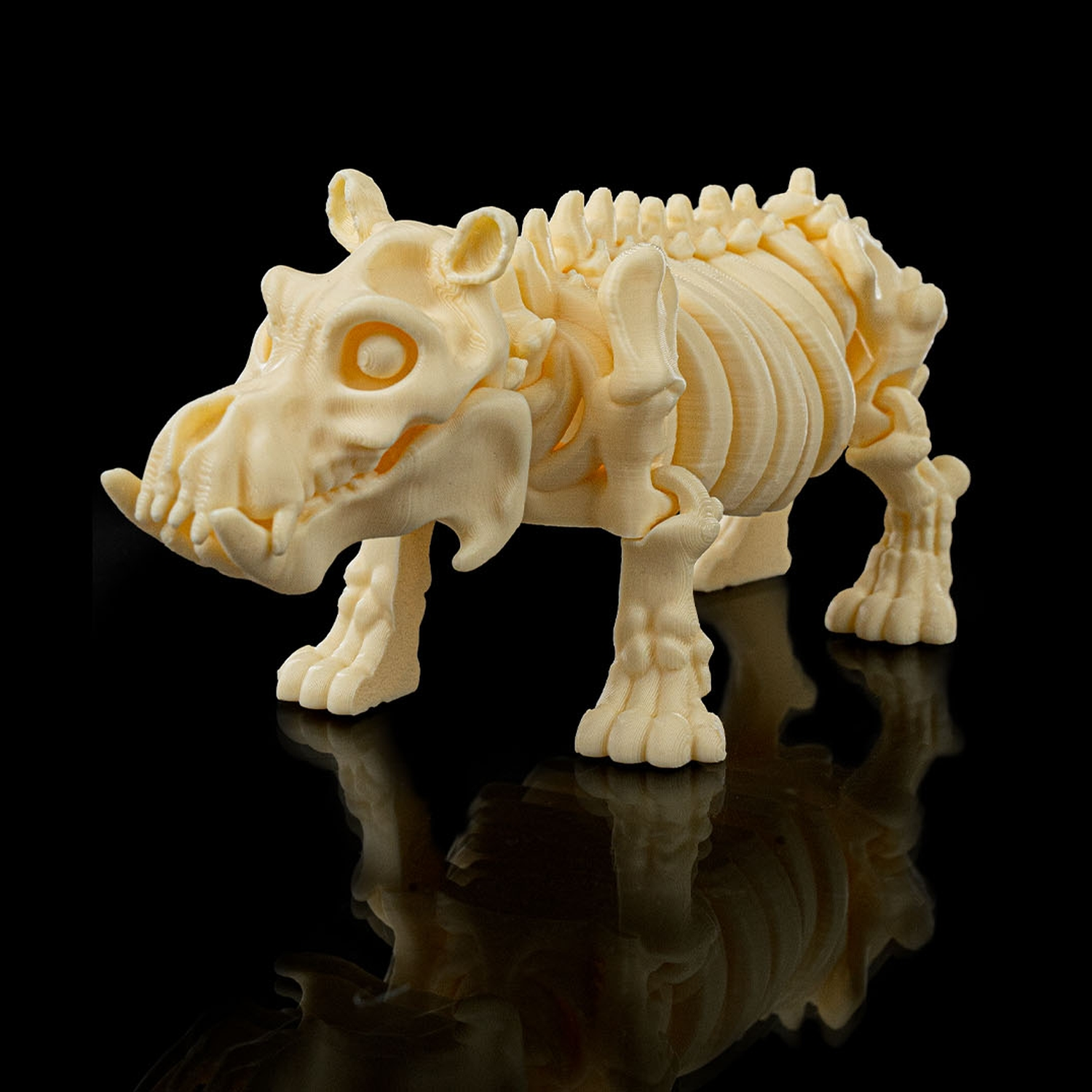 Skeleton Hippo