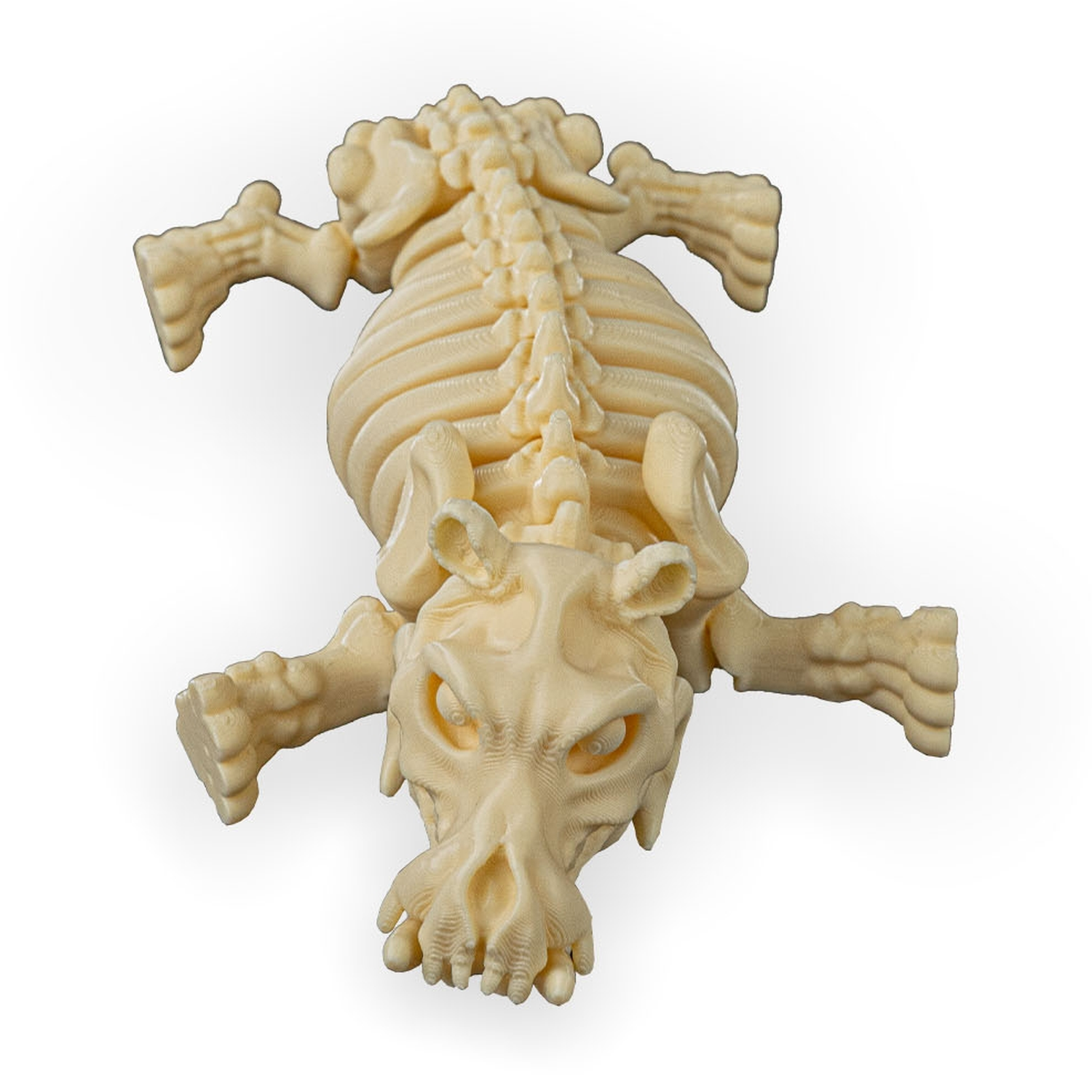 Skeleton Hippo
