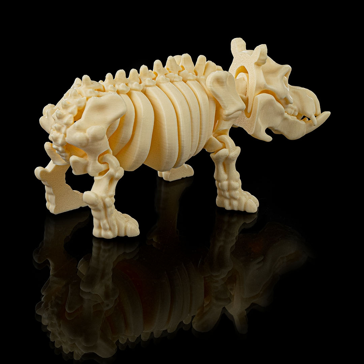 Skeleton Hippo