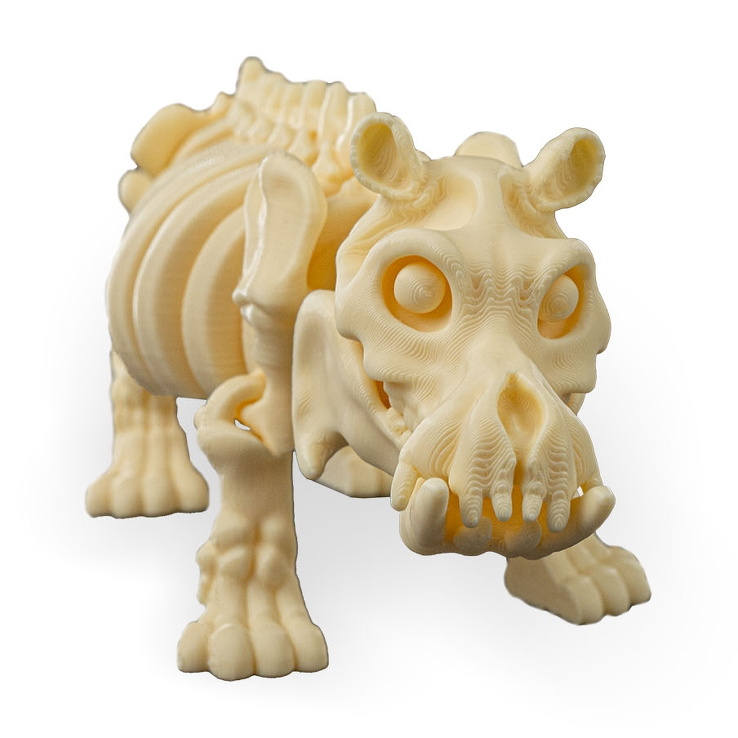 Skeleton Hippo