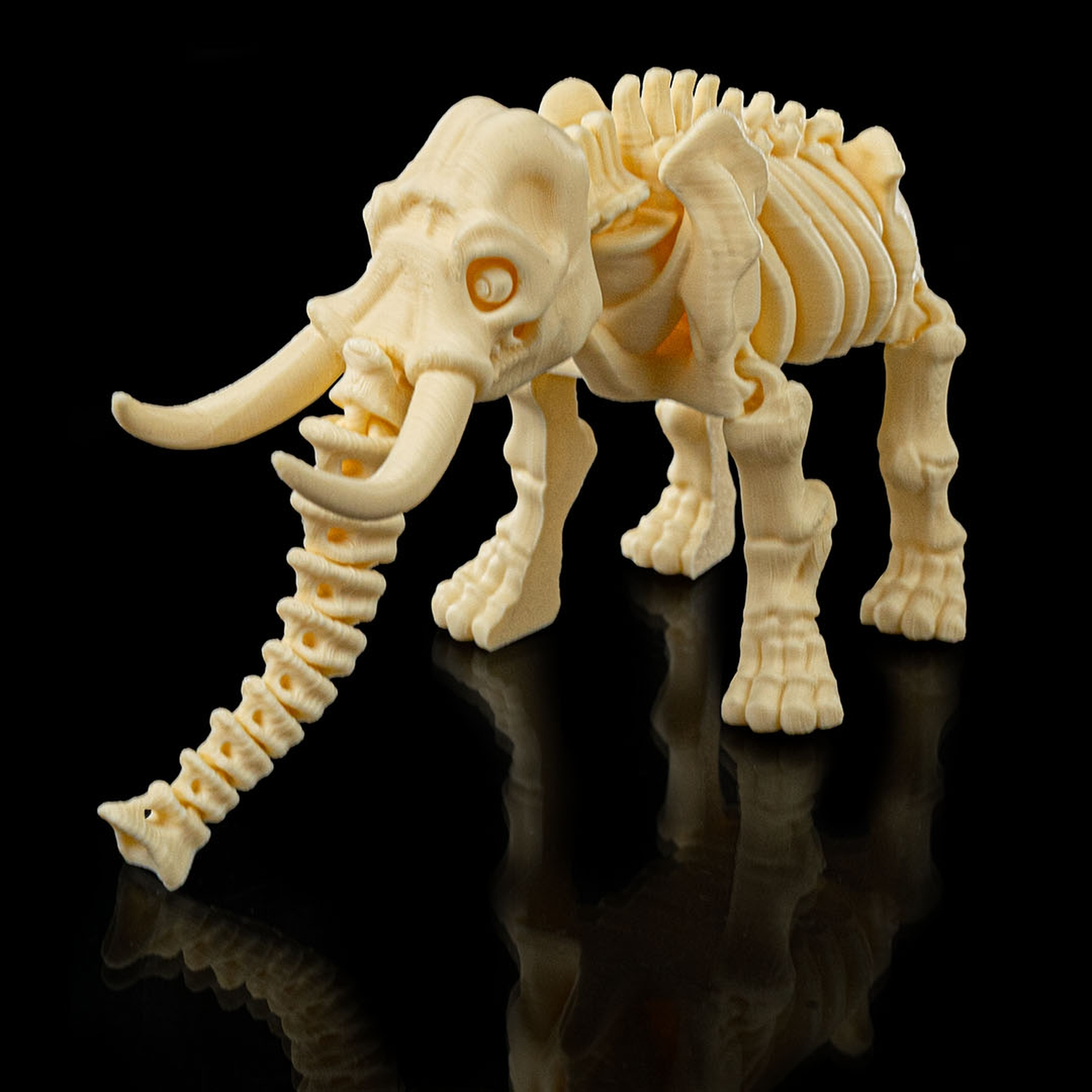 Skeleton Elephant