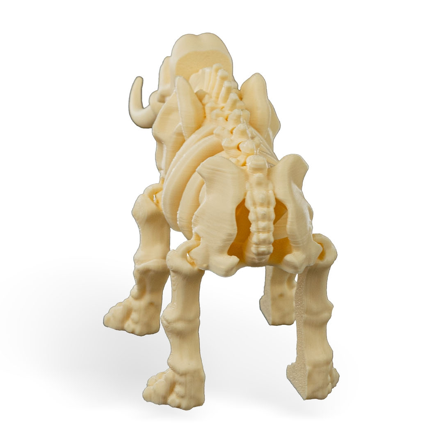 Skeleton Elephant