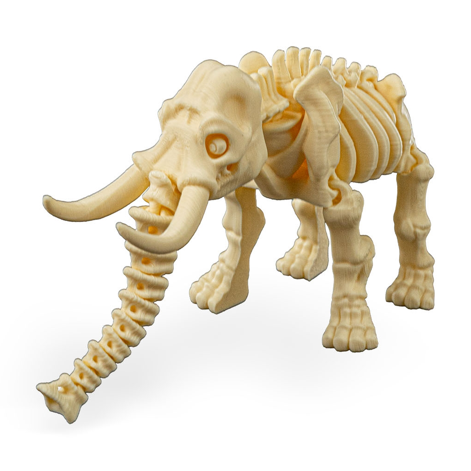 Skeleton Elephant