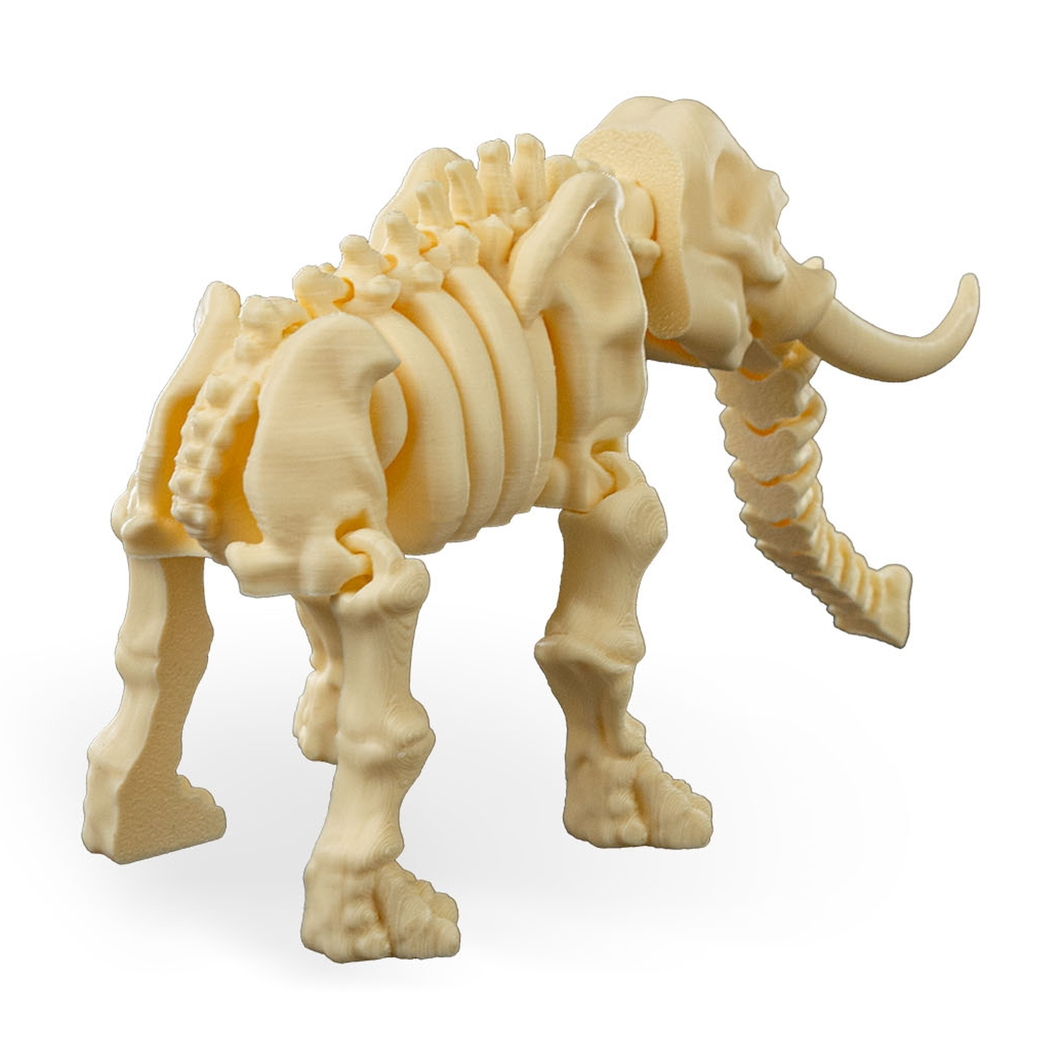 Skeleton Elephant