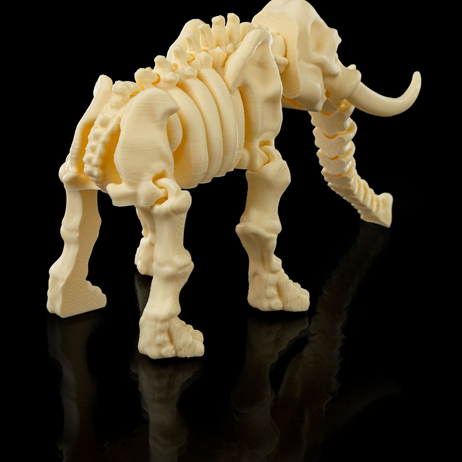 Skeleton Elephant