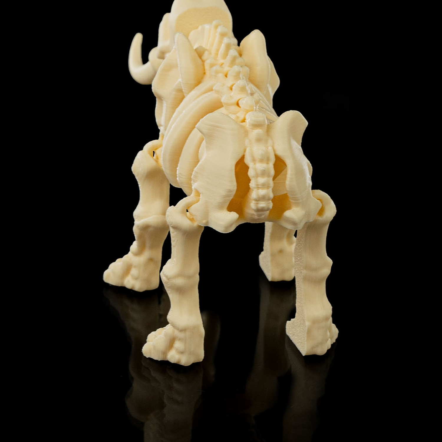Skeleton Elephant