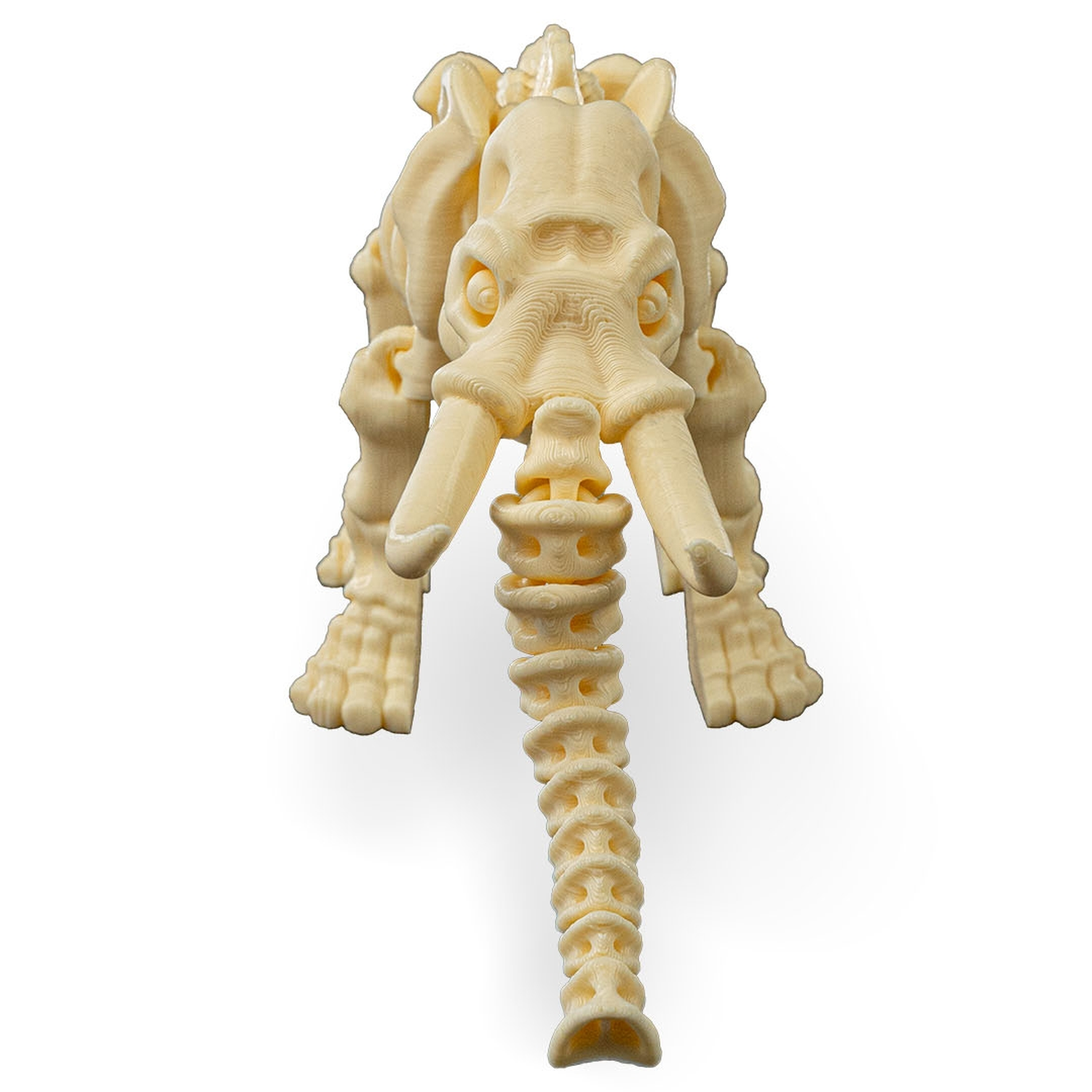 Skeleton Elephant