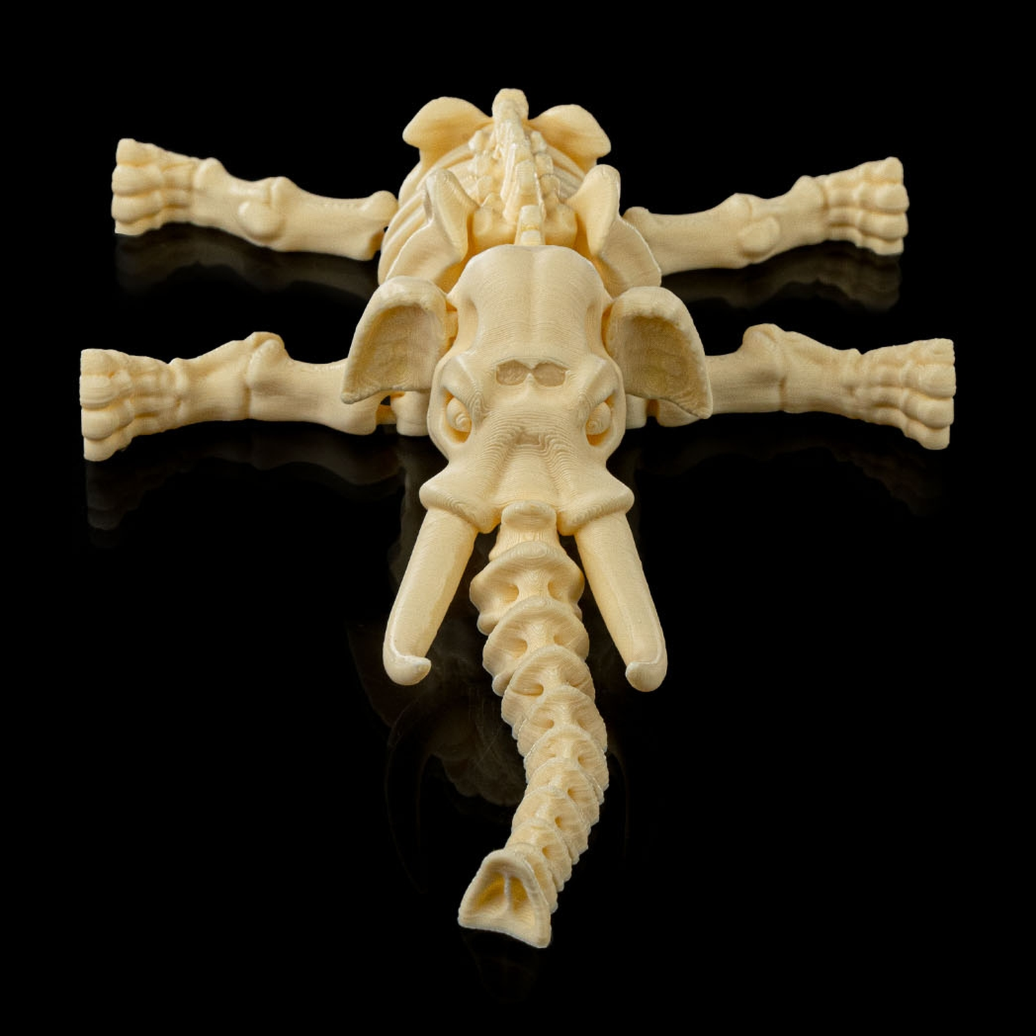 Skeleton Elephant