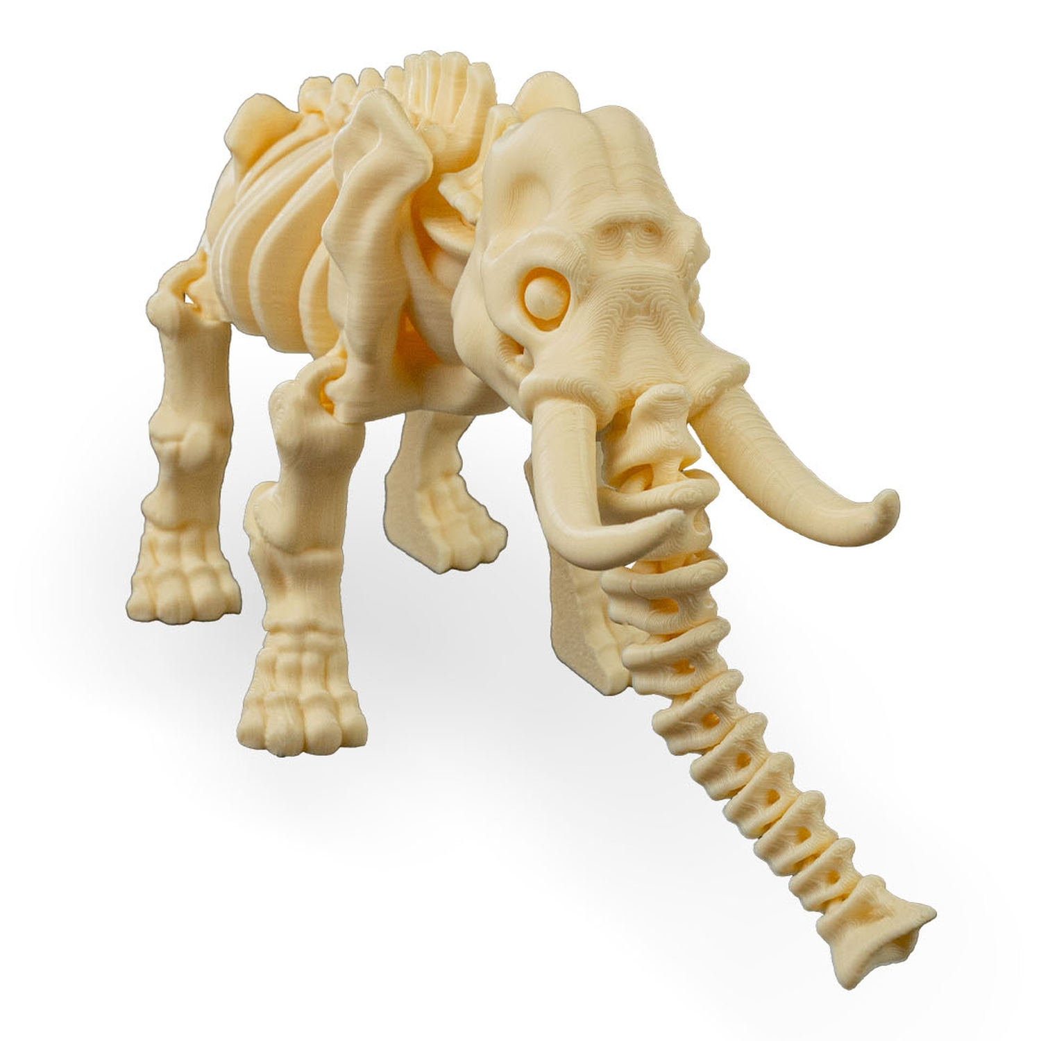 Skeleton Elephant