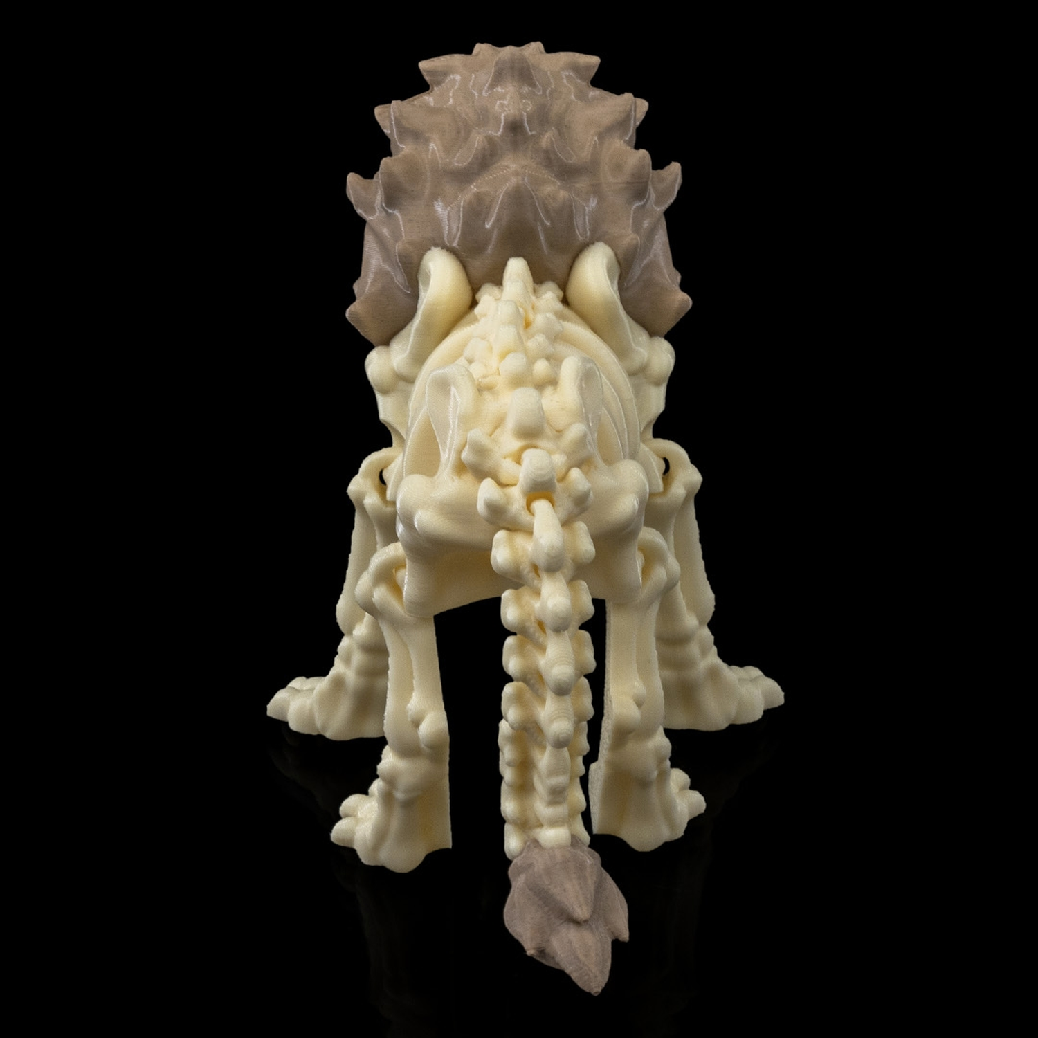 Skeleton Lion