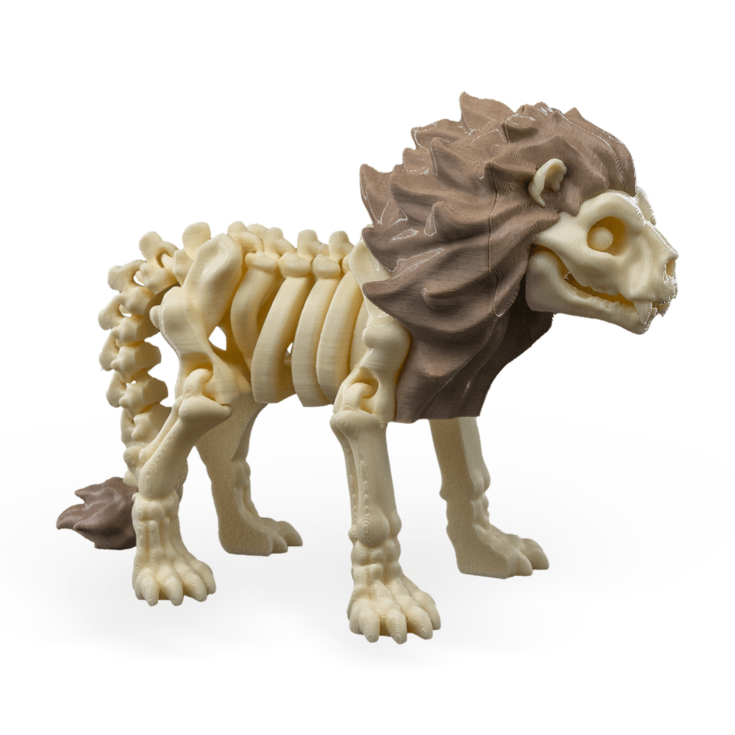 Skeleton Lion