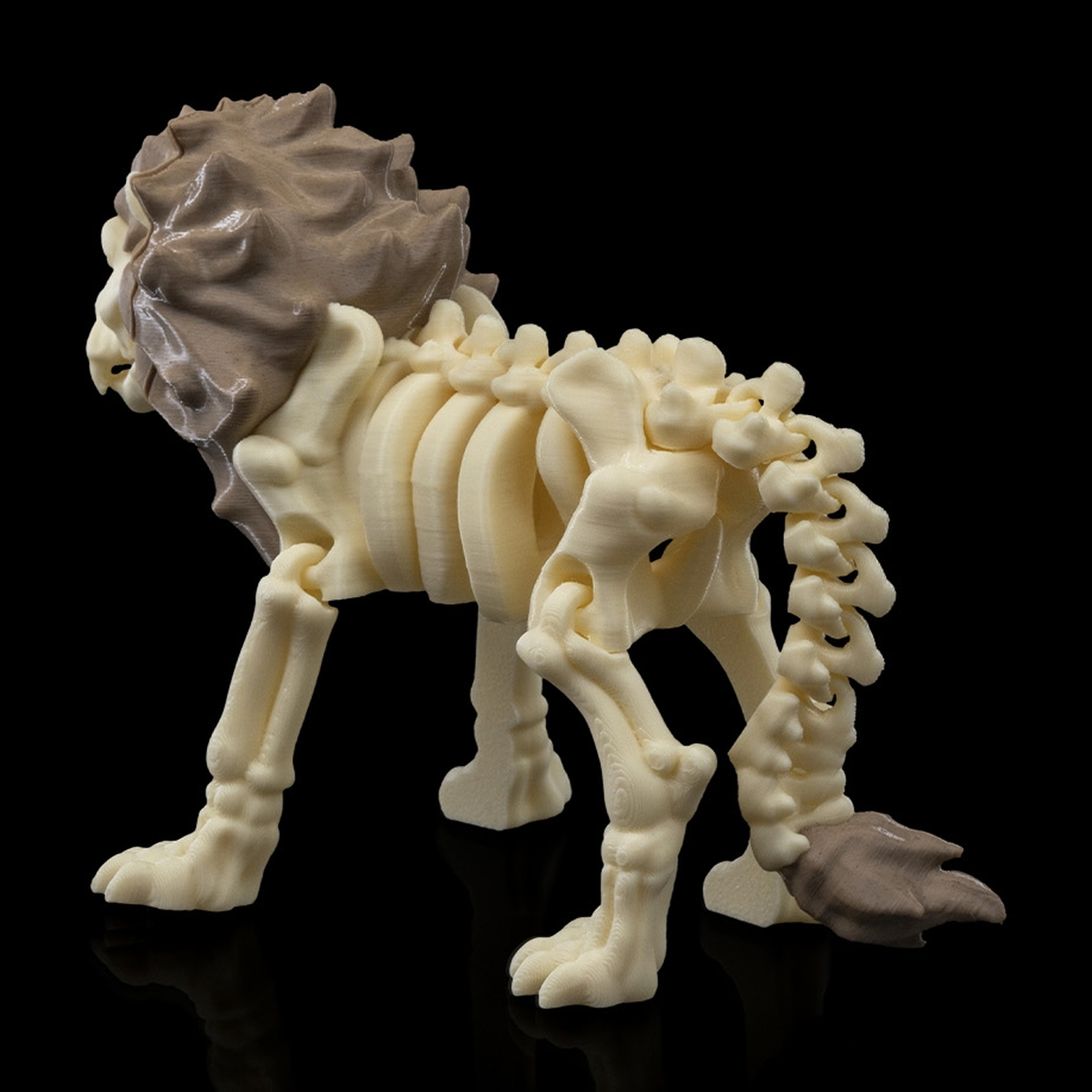 Skeleton Lion