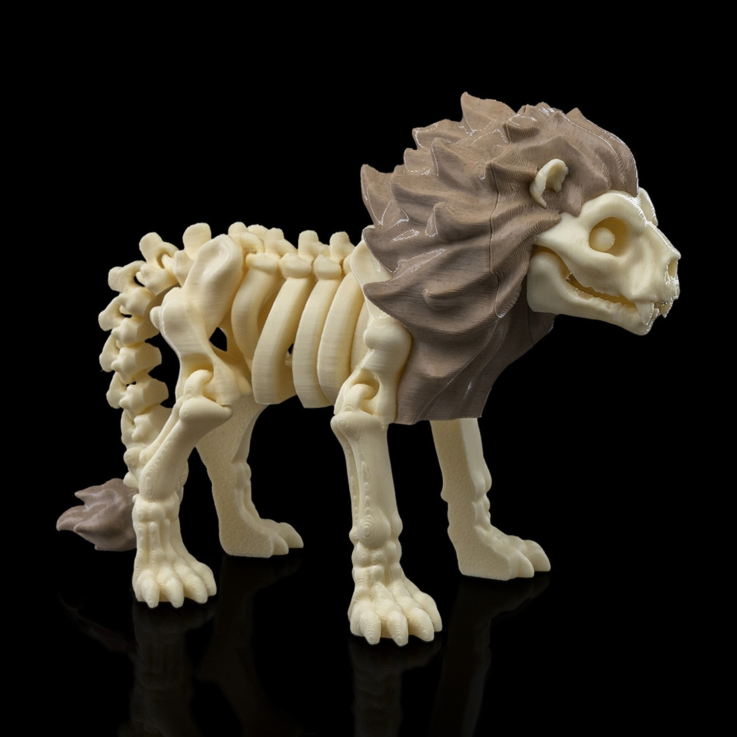 Skeleton Lion