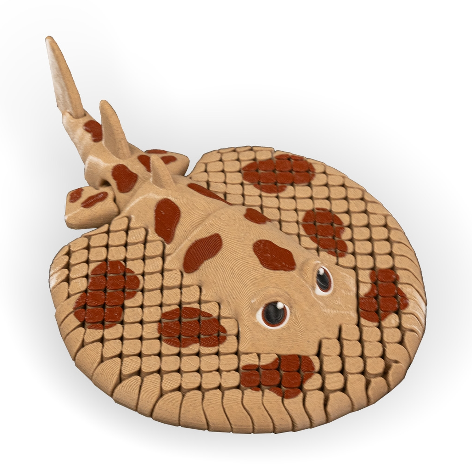 Lexi, the Electric Ray