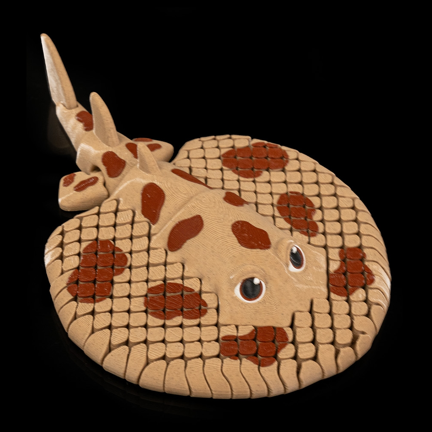 Lexi, the Electric Ray