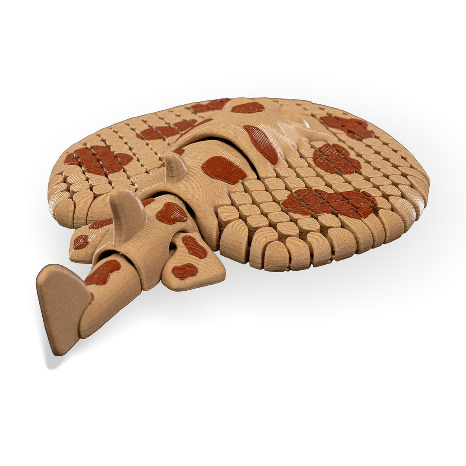 Lexi, the Electric Ray