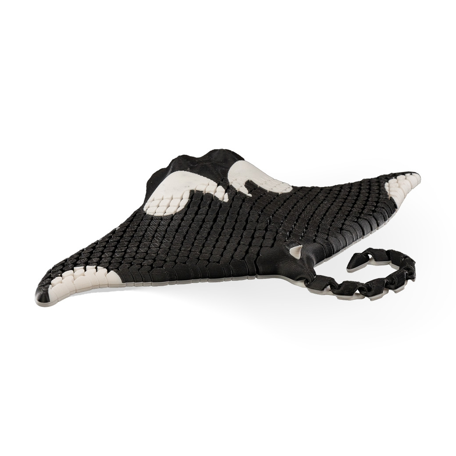 Manny, the Manta Ray
