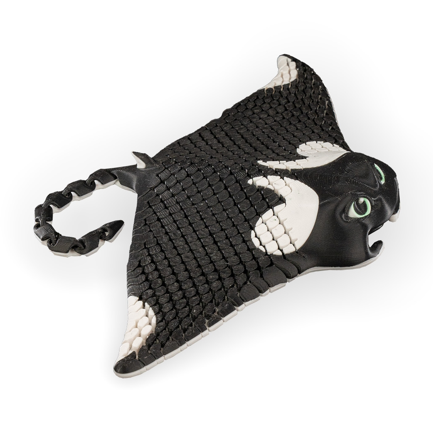 Manny, the Manta Ray