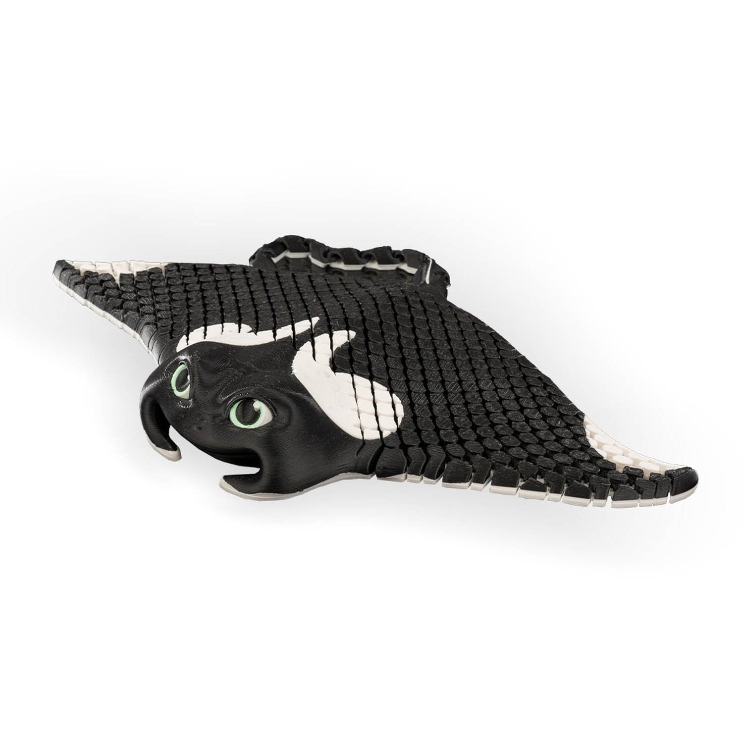 Manny, the Manta Ray
