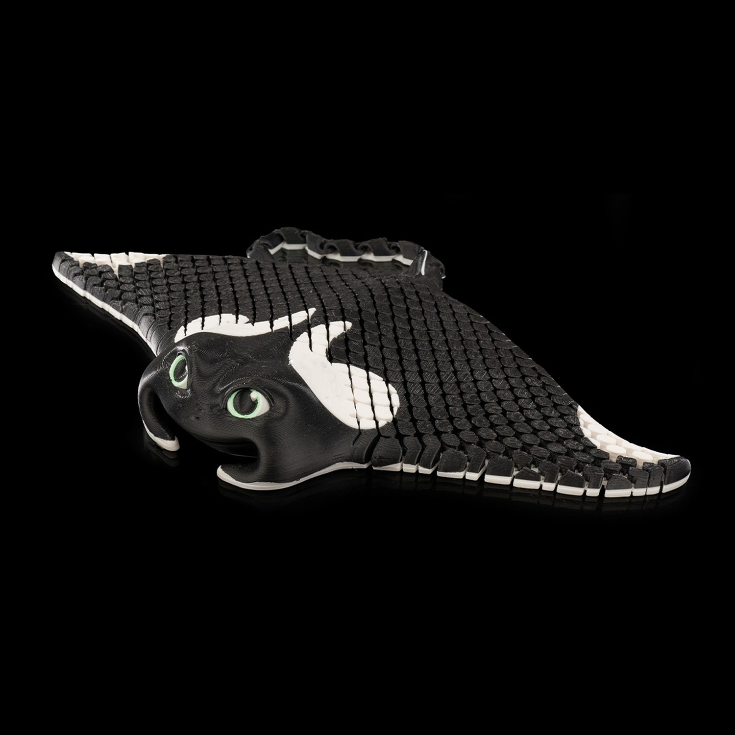 Manny, the Manta Ray