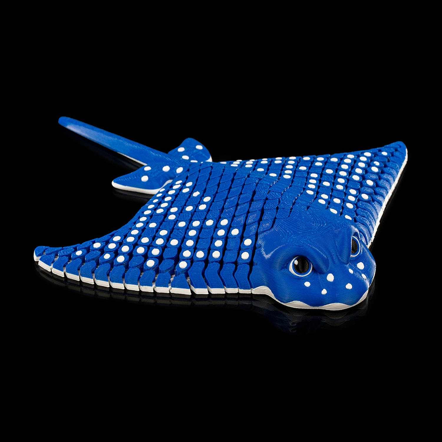 Igor, the Spotted Eagle Ray