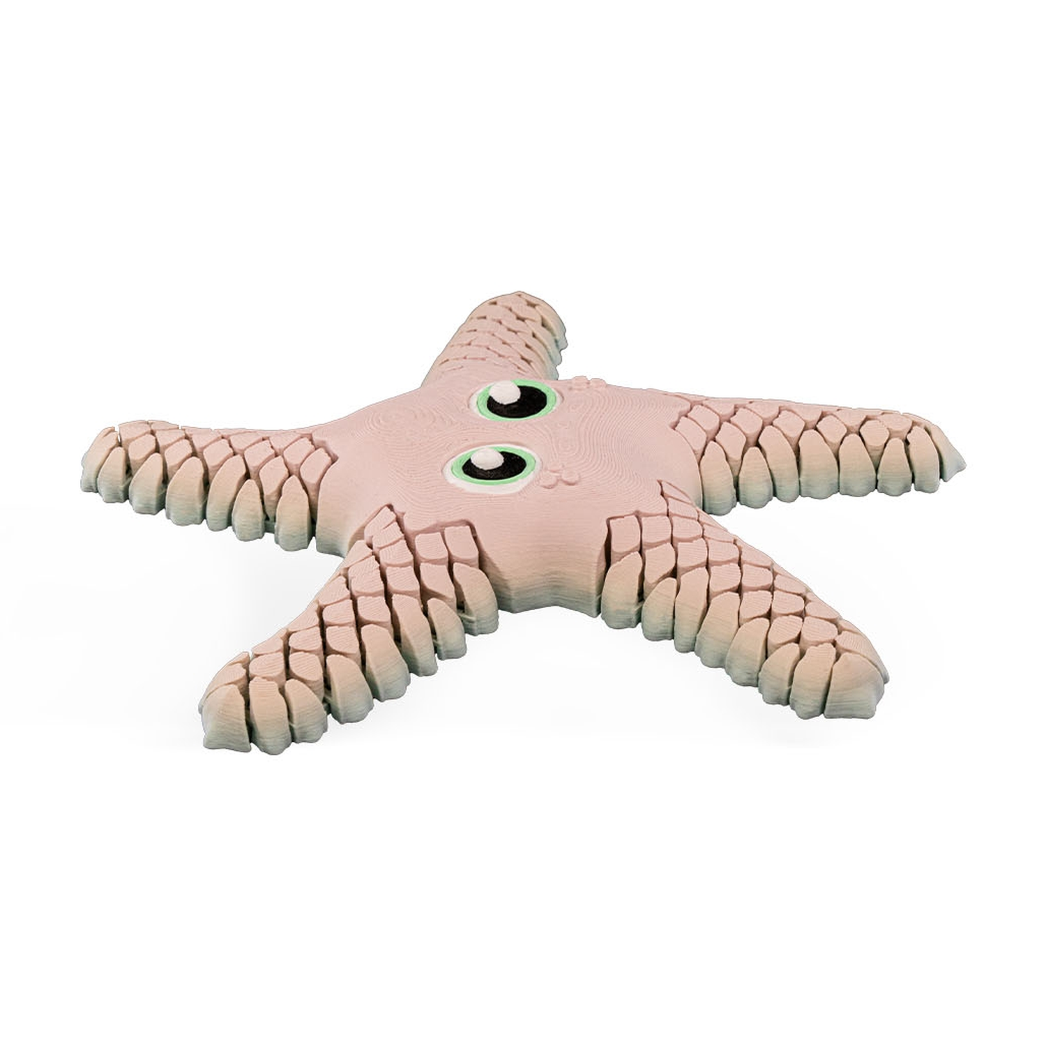 Sandy, the Sea Estrella