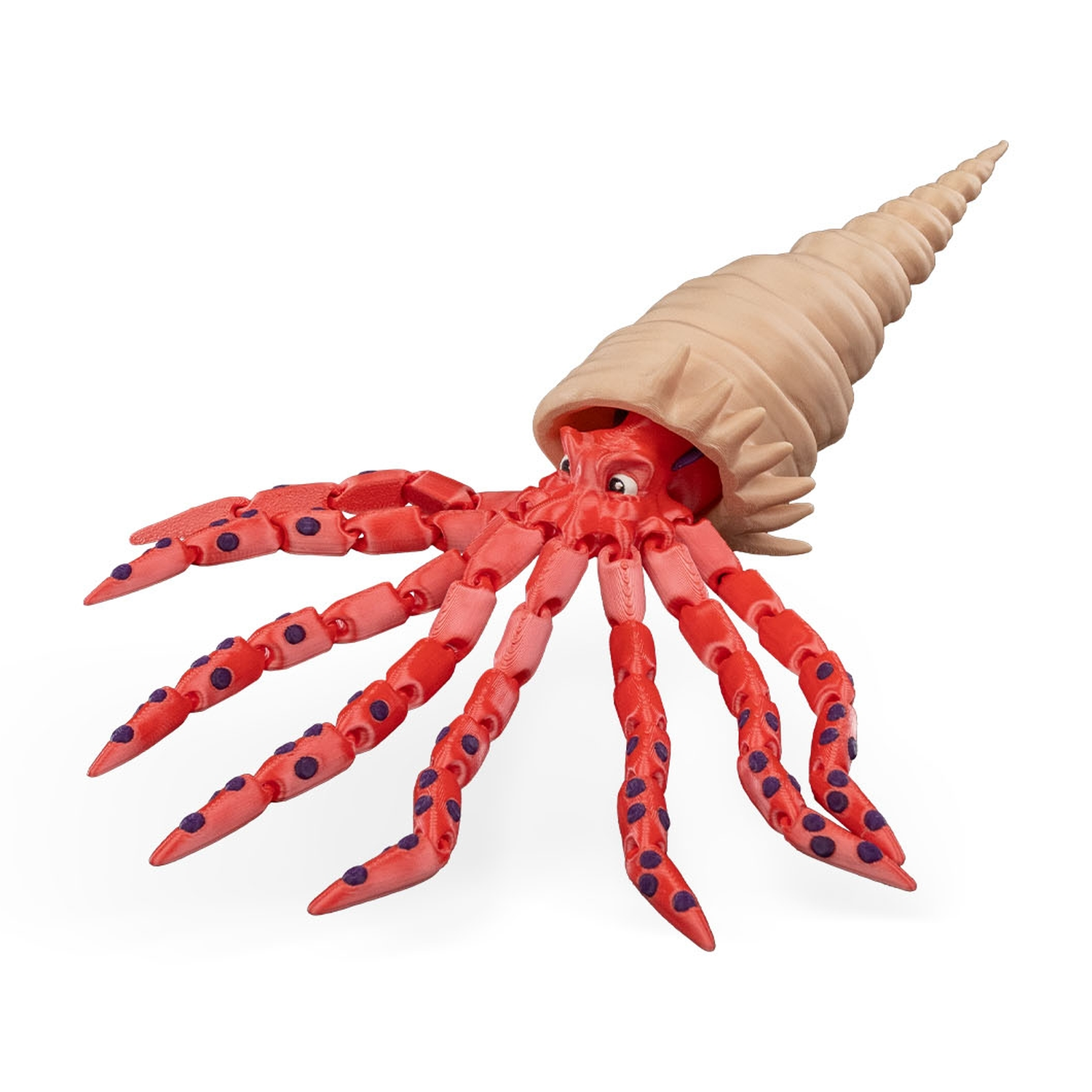 Finn, the Bigfin Squid