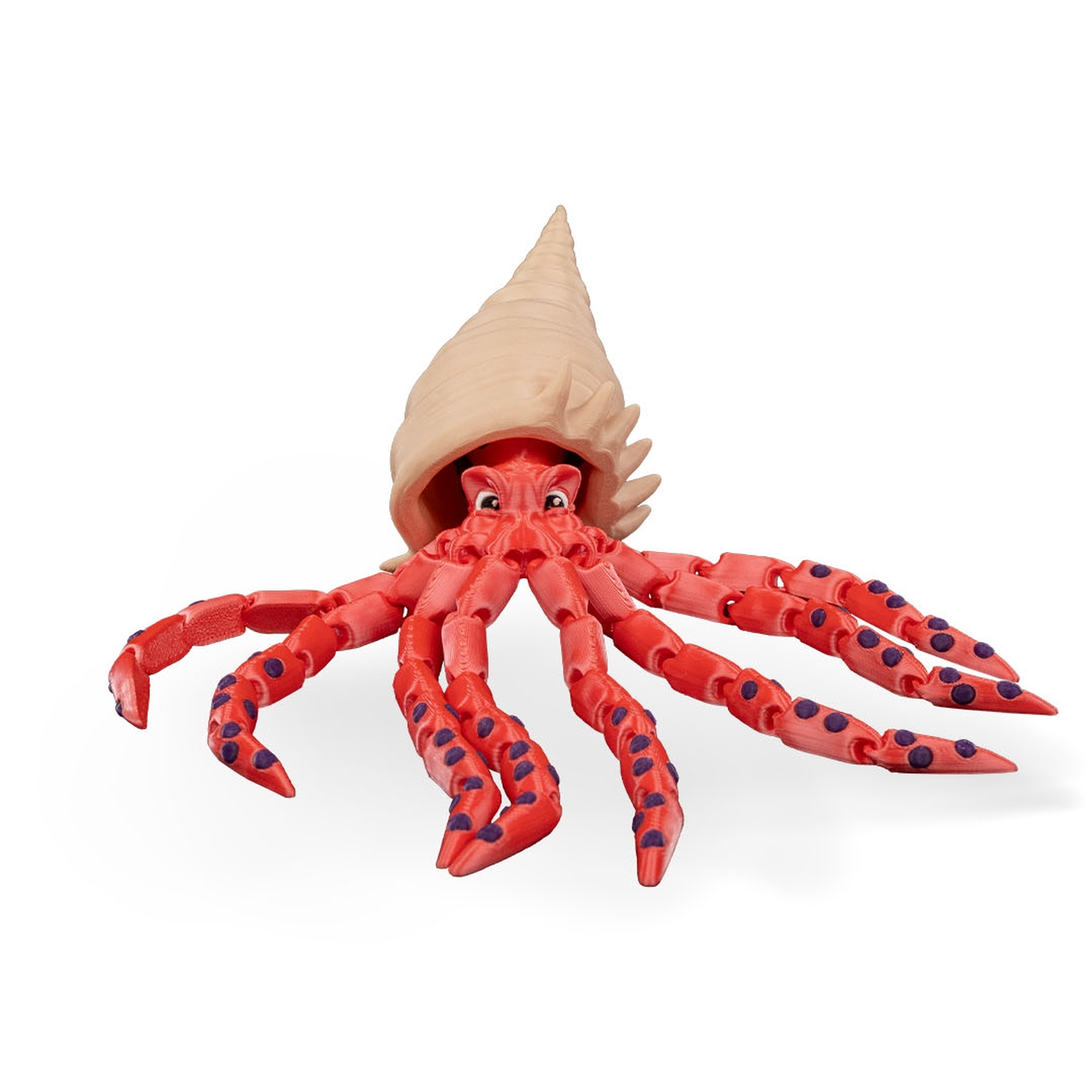 Finn, the Bigfin Squid