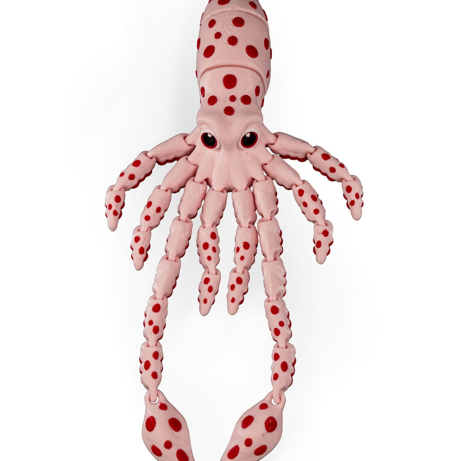 Sky, the Squid