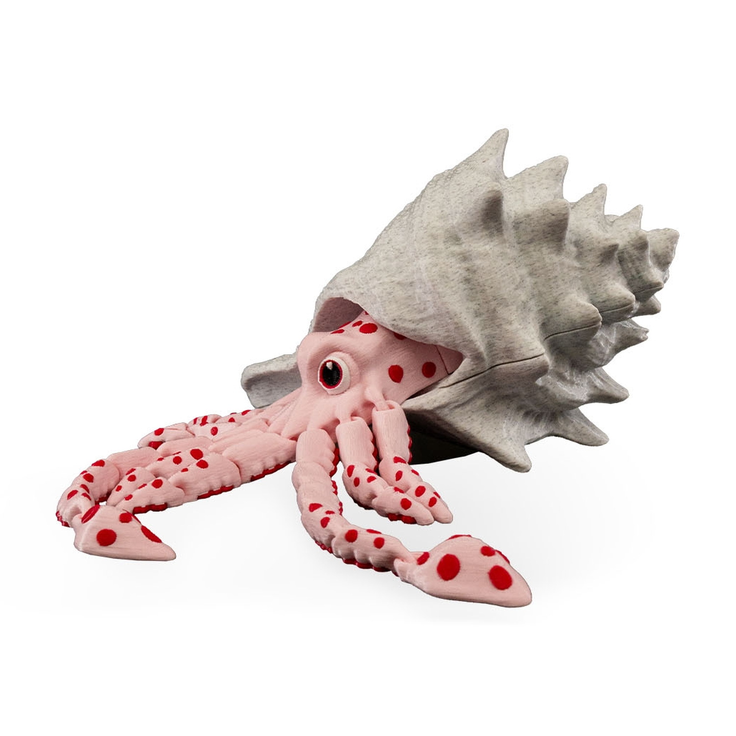 Sky, the Squid