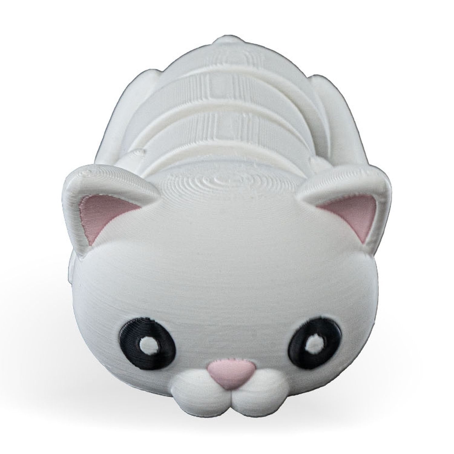 Cute Flexi Gato