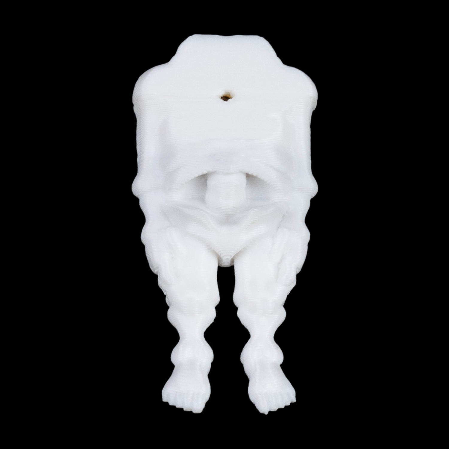 Bone to be worn