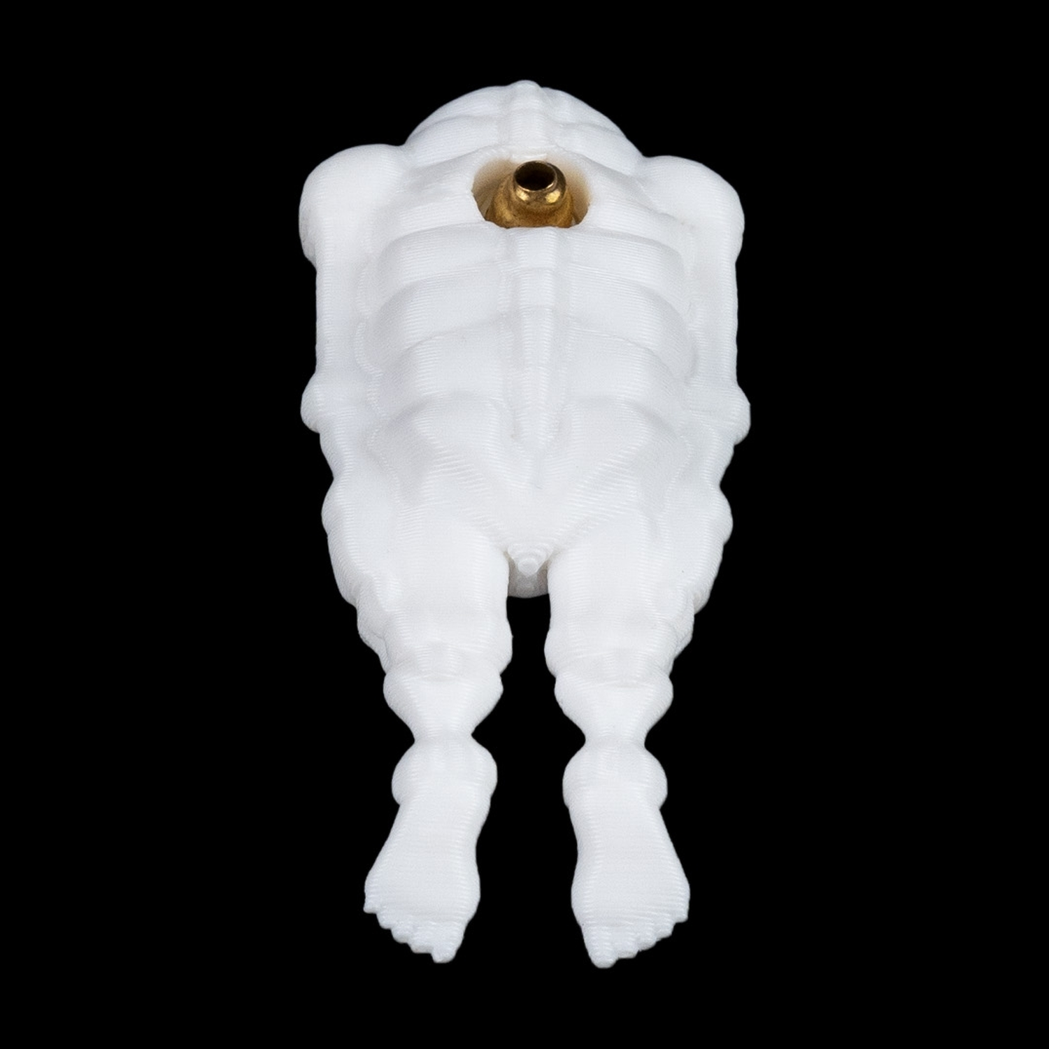 Bone to be worn