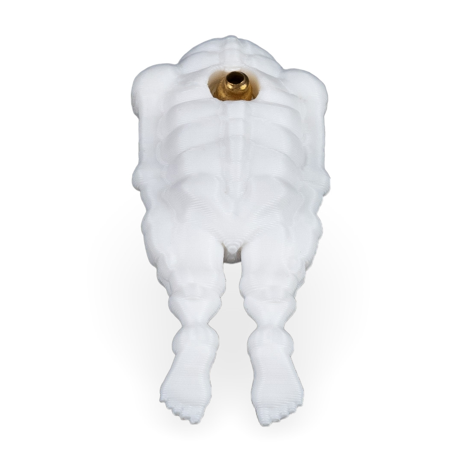 Bone to be worn