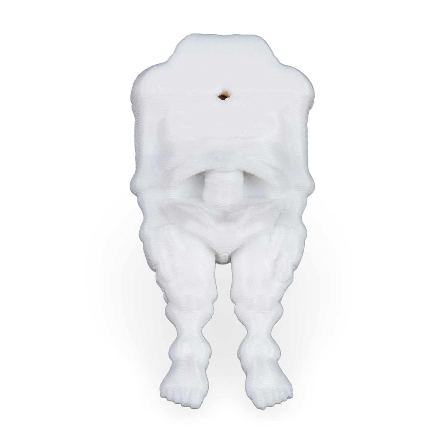 Bone to be worn