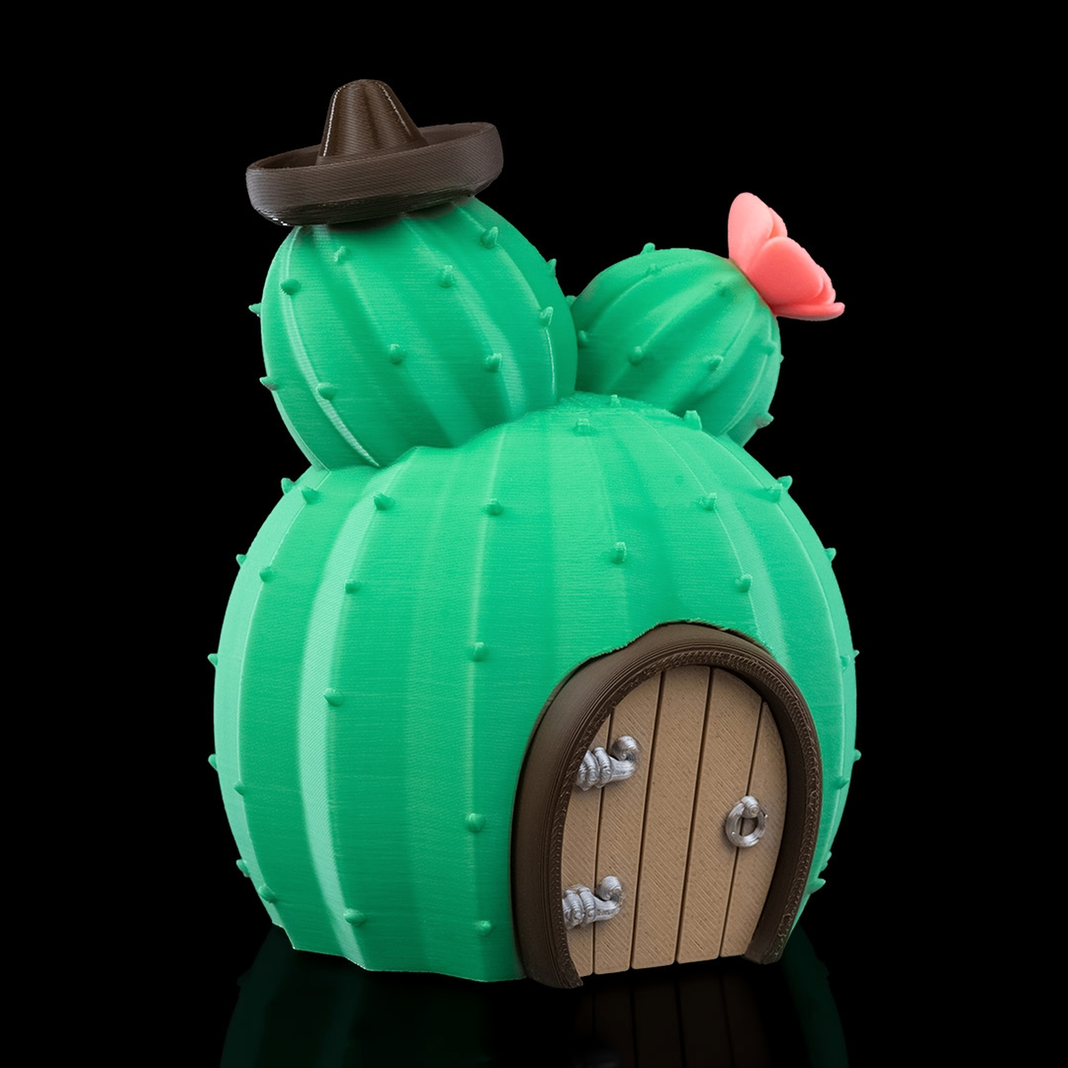 Cactus House