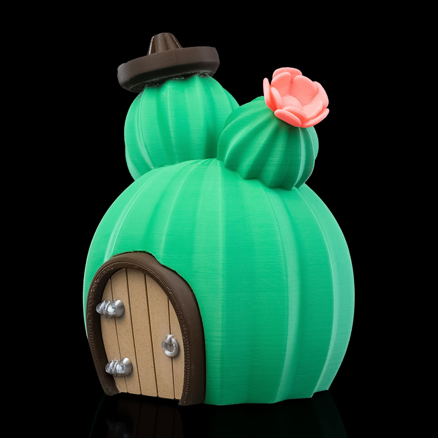 Cactus House